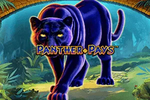 Playtech : Panther Pays - KINGBET189