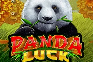 Playtech : Panda Luck - KINGBET189